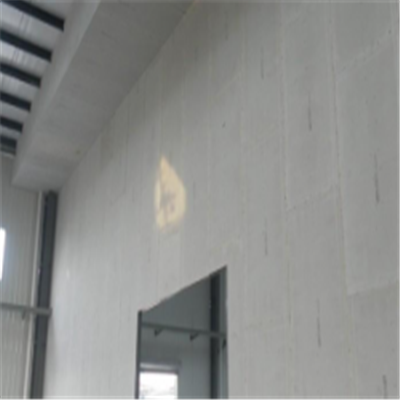 what宁波ALC板|EPS加气板隔墙与混凝土整浇联接的实验研讨